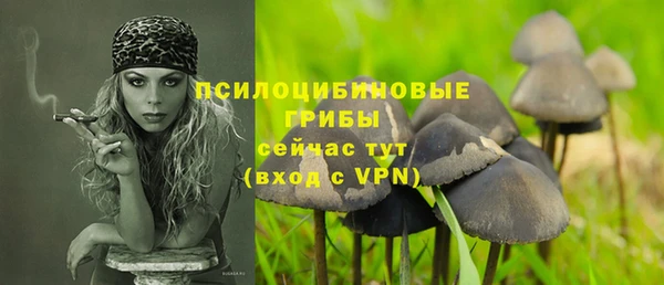 mdma Рославль